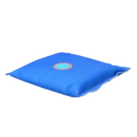 Luftentfeuchtersack 360g Füllung und Indikator Autozubehör Winterausstattung Pflege Filmer 18694