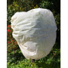 Wintervlies Schutzhaube 60x80cm mit Kordelzug 4er-Set Gartenbedarf Winterschutz Filmer 25056