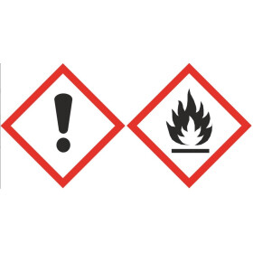 Filmer 60071 Polster- und Teppichreiniger