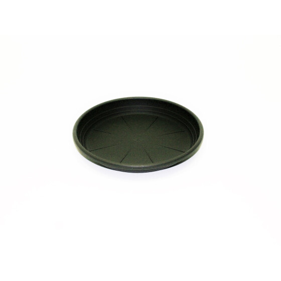 Schulz 819200 Untersetzer für Cilindro Pflanztopf 20 cm anthrazit Kunststoff