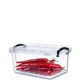 Box SOFIA 5 Liter 31x20x13,5cm Transparent mit schwarzen...