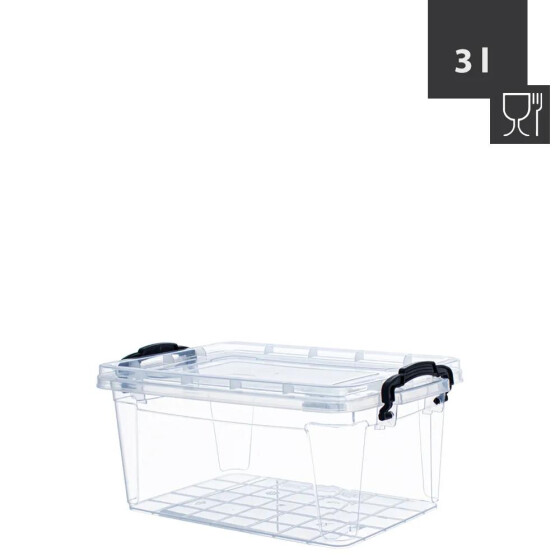 Livinja Box SOFIA mit Deckel und Griffen 3 L, 26 x 17 x 11,5cm, Transparent, Polypropylen
