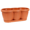 Blumenkasten DOMINO 40 x 17x 19 cm, terra, inklusive Untersetzer, Polypropylen