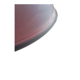 Mikrowellen Abdeckhaube XL ca. 29x8,5cm Haushalt Gastrobedarf Schulz 120700