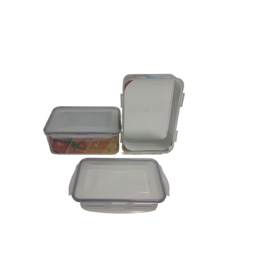 Safe Box rechteckig 2500 ml 24,5 x 17,3 x 9 cm