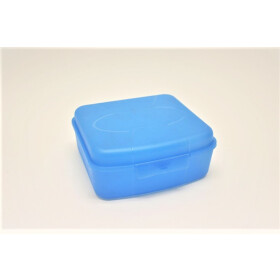 Snack Box Quadrat 19,5 x 19,5 x 8 cm verschiedene Farben