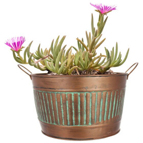 Livinja Pflanztopf COVENTRY "Medium" Stahl Kupferoptik 20 x 15,5 cm