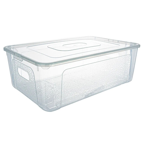 Centi Box TORONTO mit Deckel transparent 39 x 26 x 13 cm 11 Liter Polypropylen