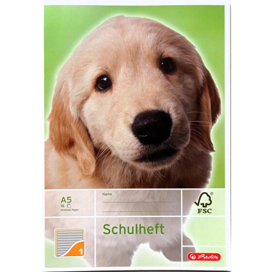 Herlitz 3320108 Schulheft, Lineatur 1, DIN A5, 16 Blatt