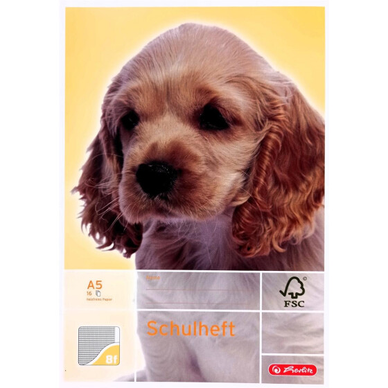 Herlitz 3320801 Schulheft, Lineatur 8f, DIN A5, 16 Blatt