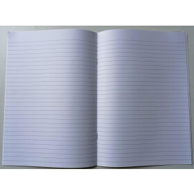HGG 10970416 Schulheft, Lineatur 21, DIN A4, 16 Blatt