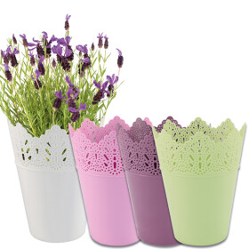 Centi Kunststoff Pflanzkübel PARIS, d= 14 cm, H=...